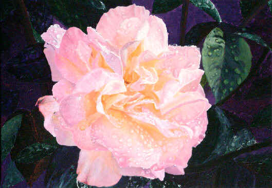 wpe5.jpg (25363 bytes)